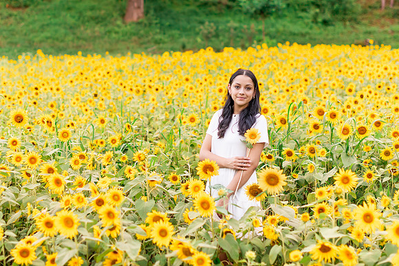 {SOCIALMEDIA} Hannah King Photography SUNFLOWERS2023 FRANKIE-9