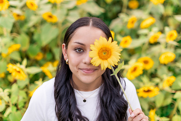 {SOCIALMEDIA} Hannah King Photography SUNFLOWERS2023 FRANKIE-10