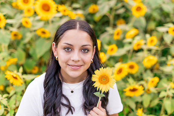 {SOCIALMEDIA} Hannah King Photography SUNFLOWERS2023 FRANKIE-12