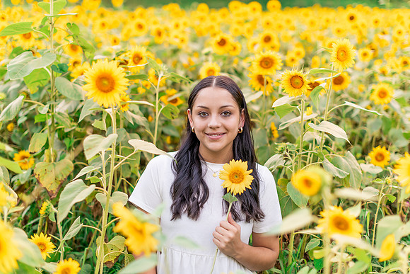 {SOCIALMEDIA} Hannah King Photography SUNFLOWERS2023 FRANKIE-13