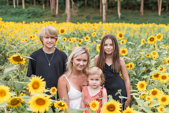 {SOCIALMEDIA} Hannah King Photography SUNFLOWERS2023 PLOTKIN-1