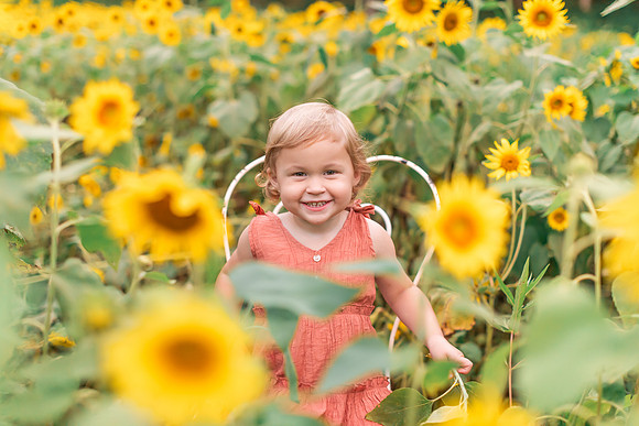 {SOCIALMEDIA} Hannah King Photography SUNFLOWERS2023 PLOTKIN-5