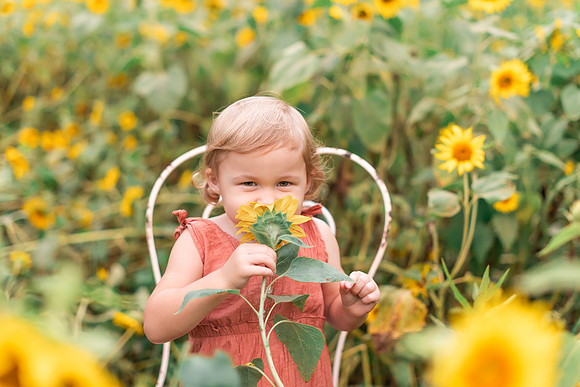 {SOCIALMEDIA} Hannah King Photography SUNFLOWERS2023 PLOTKIN-6
