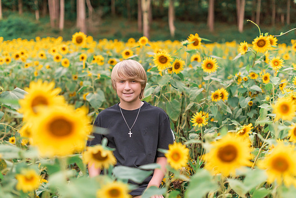 {SOCIALMEDIA} Hannah King Photography SUNFLOWERS2023 PLOTKIN-8
