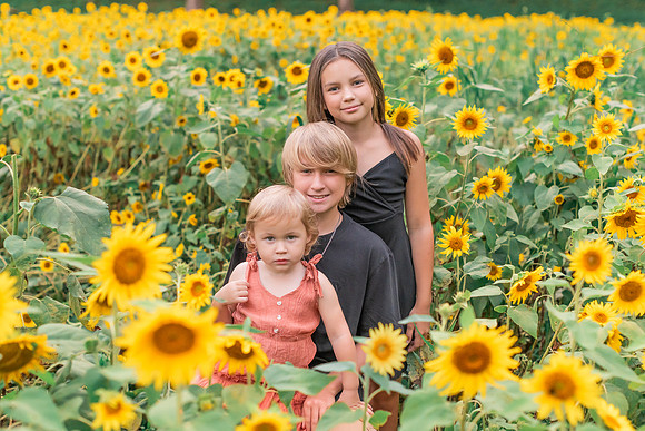 {SOCIALMEDIA} Hannah King Photography SUNFLOWERS2023 PLOTKIN-9