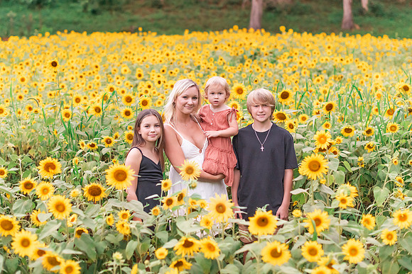 {SOCIALMEDIA} Hannah King Photography SUNFLOWERS2023 PLOTKIN-13