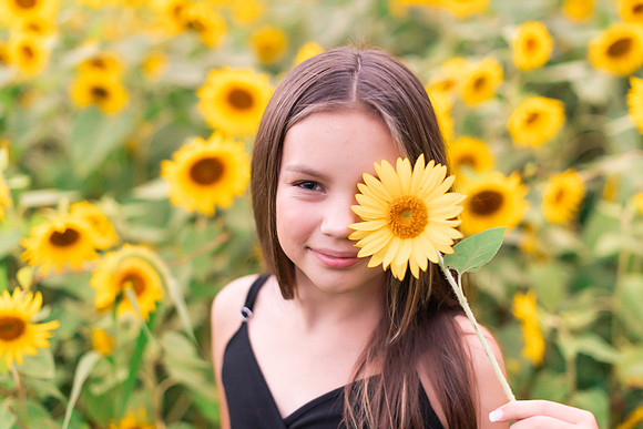 {SOCIALMEDIA} Hannah King Photography SUNFLOWERS2023 PLOTKIN-15