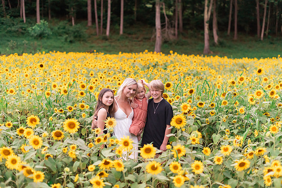 {SOCIALMEDIA} Hannah King Photography SUNFLOWERS2023 PLOTKIN-14