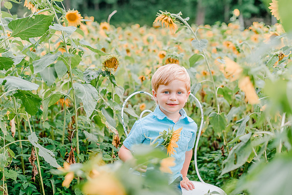 {SOCIAL SHARE} Hannah King Photography HARVEY SUNFLOWERS-1