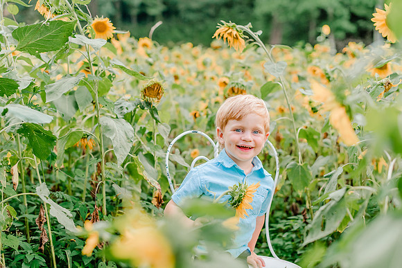 {SOCIAL SHARE} Hannah King Photography HARVEY SUNFLOWERS-2