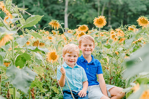 {SOCIAL SHARE} Hannah King Photography HARVEY SUNFLOWERS-4