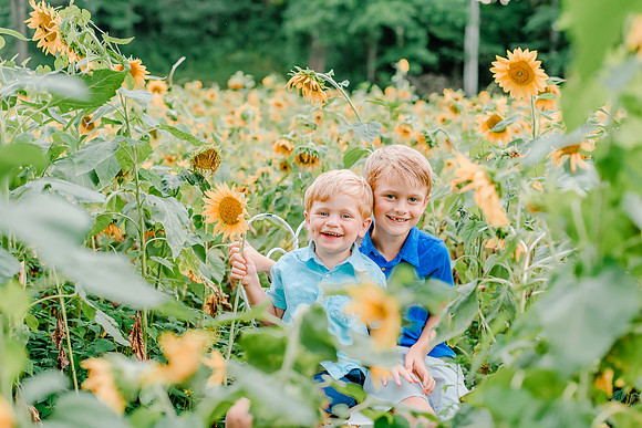 {SOCIAL SHARE} Hannah King Photography HARVEY SUNFLOWERS-6
