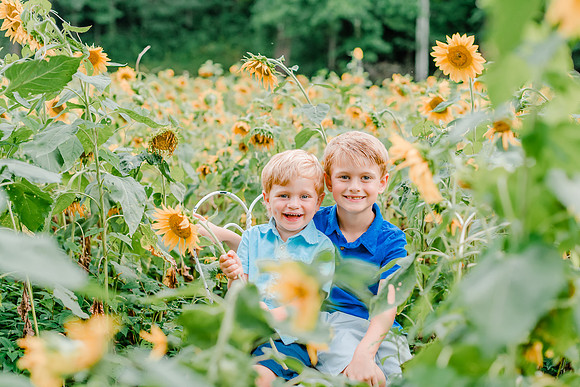 {SOCIAL SHARE} Hannah King Photography HARVEY SUNFLOWERS-7