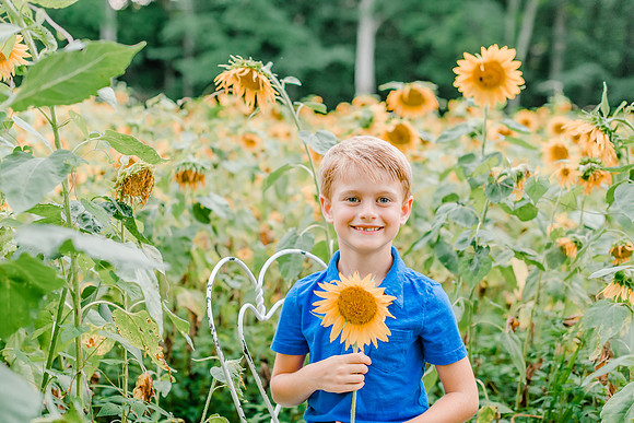 {SOCIAL SHARE} Hannah King Photography HARVEY SUNFLOWERS-8
