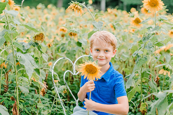 {SOCIAL SHARE} Hannah King Photography HARVEY SUNFLOWERS-10